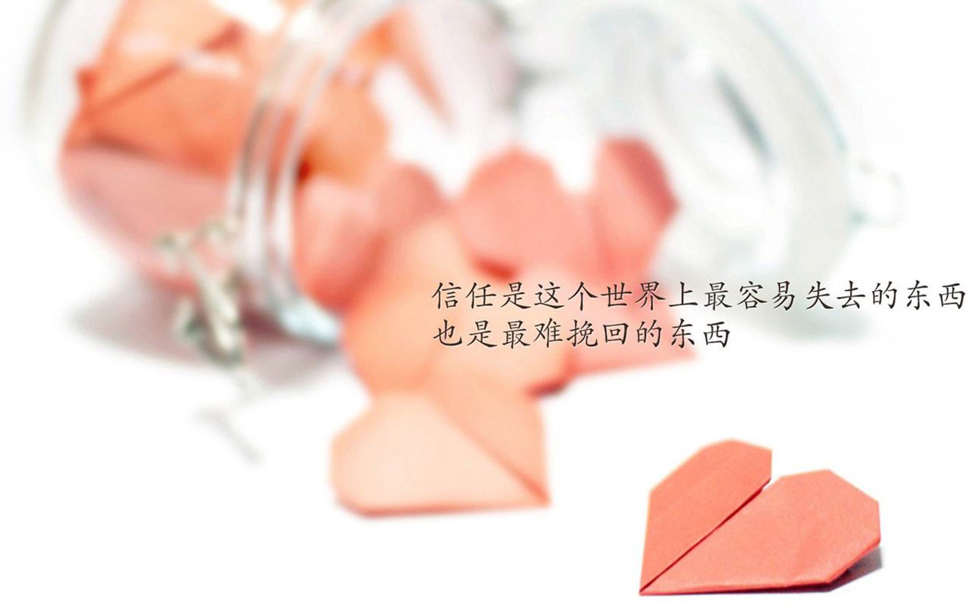 开云入口-青少年“拼搏之星”全国篮球技能大赛在上海火热举行，引领青训新风尚