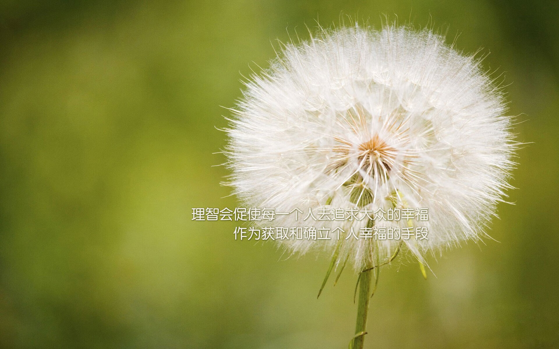 基于大数据的电竞赛事战术分析与选手表现评估方法，大数据技术电竞数据分析