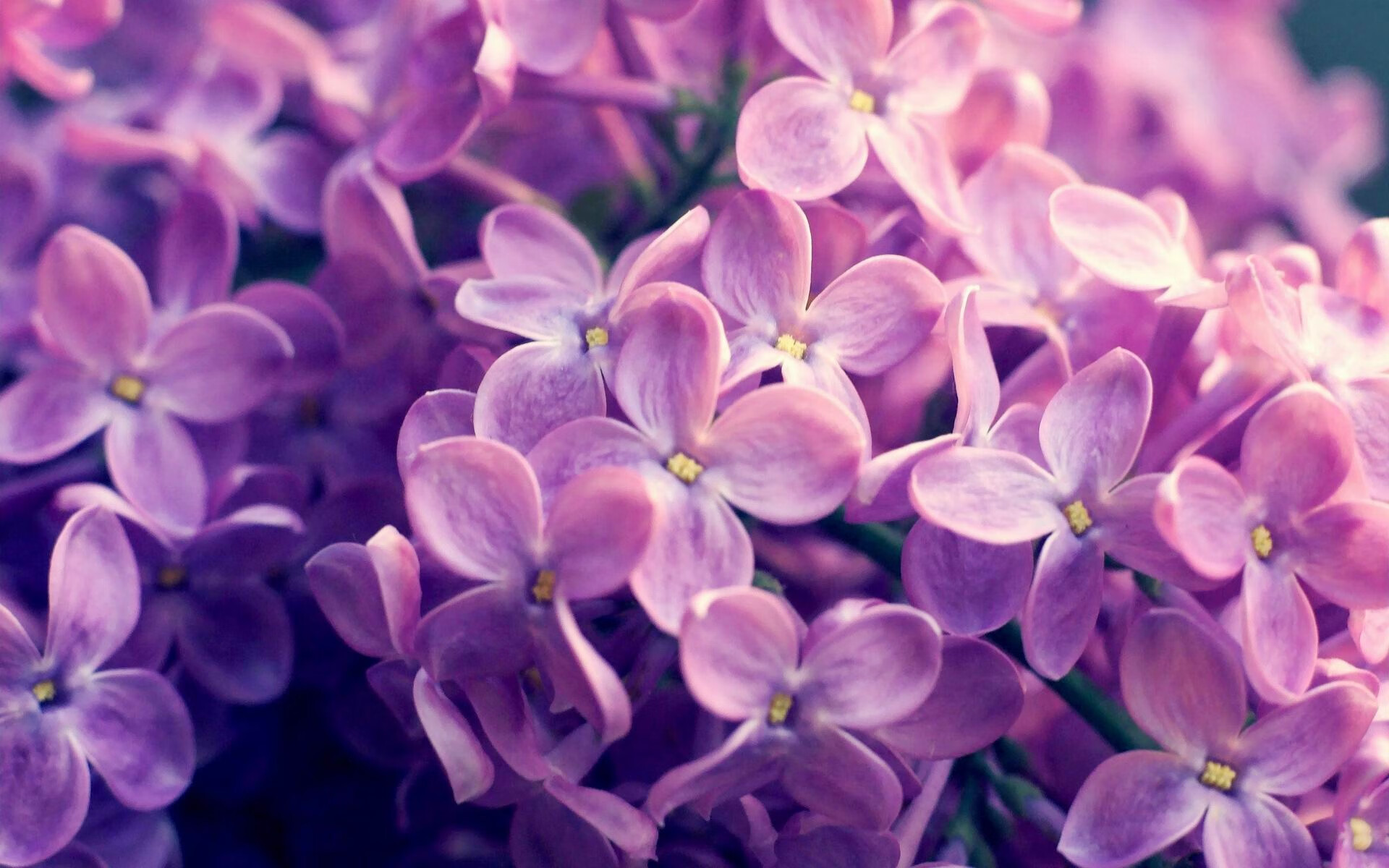 高校体育专业人才培养质量控制体系构建与优化，高校体育在人才培养中的作用