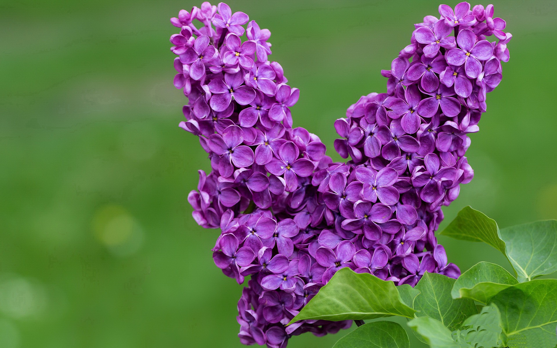 高校体育专业人才培养质量控制体系构建与优化，高校体育在人才培养中的作用