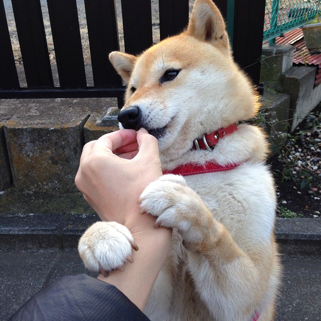 开云·体育官网-中超观赛体验升级多地试点智能场馆运营方案，中超赛场地址