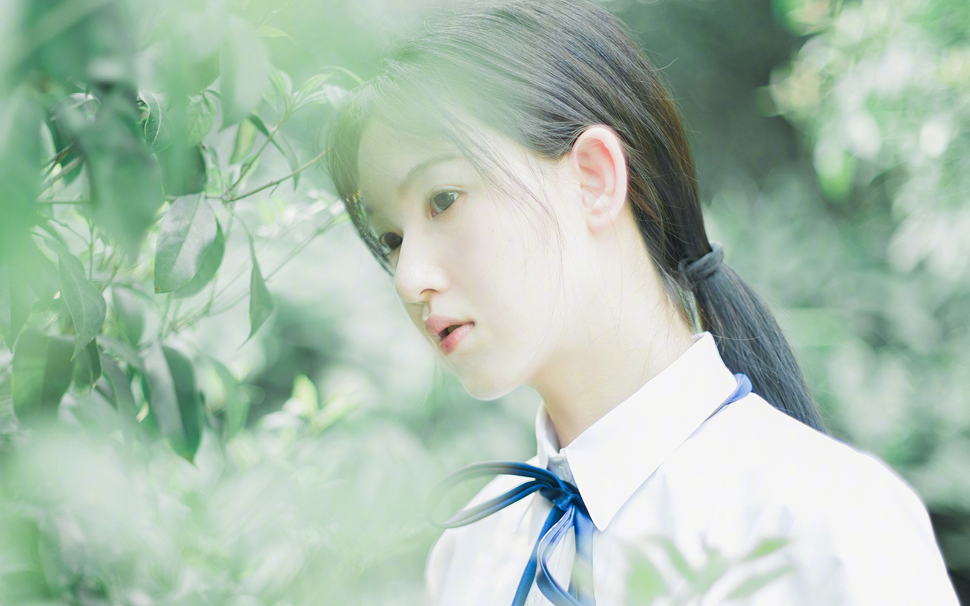 德甲球队的国际市场布局，德甲俱乐部球队