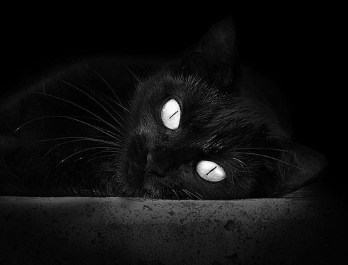 气候突变干扰场地状态裁判频繁暂停比赛确保安全,气候突变事件