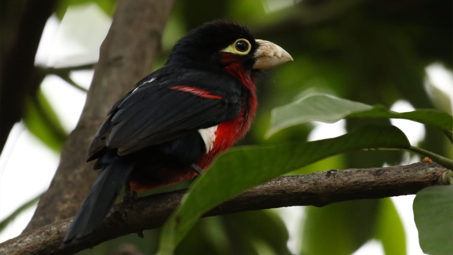 王宗源赛后感谢团队支持，王宗源夺冠