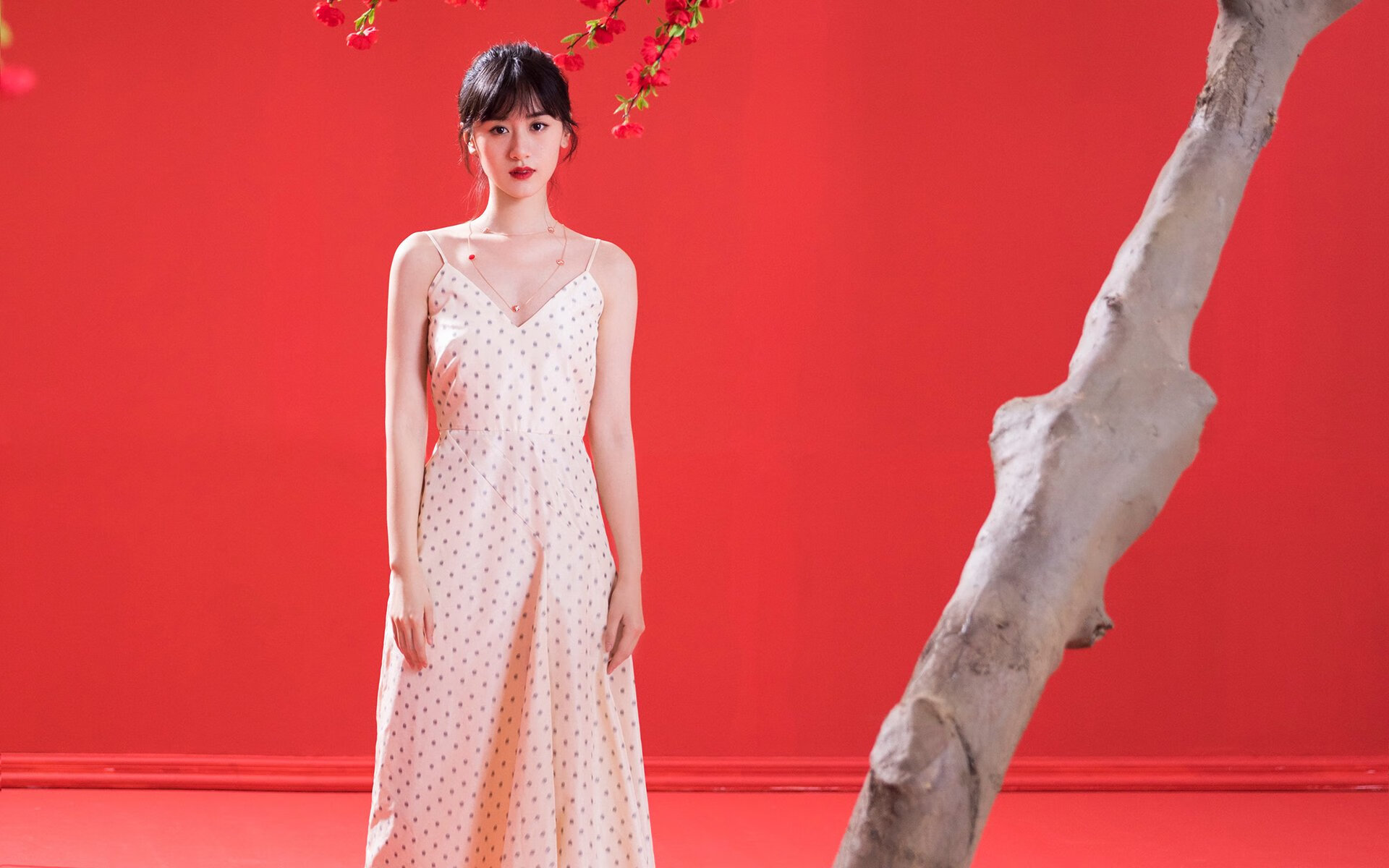 荷兰队在欧洲预赛中持续保持优异表现，晋级希望大好