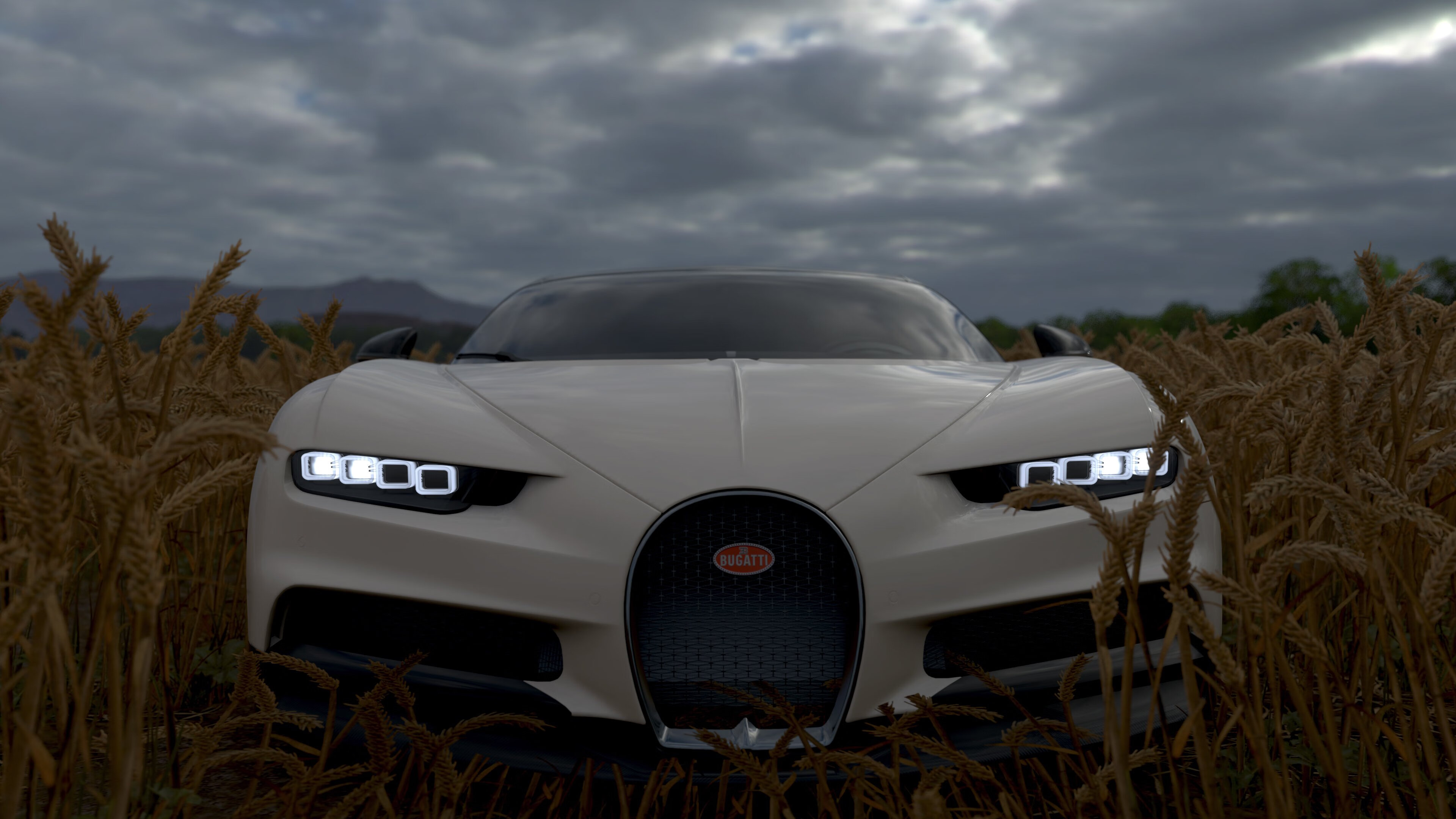 开云网站-贝尔哈德·福特：为全黑队带来更多进攻选择的战术大师，贝尔福特ufc